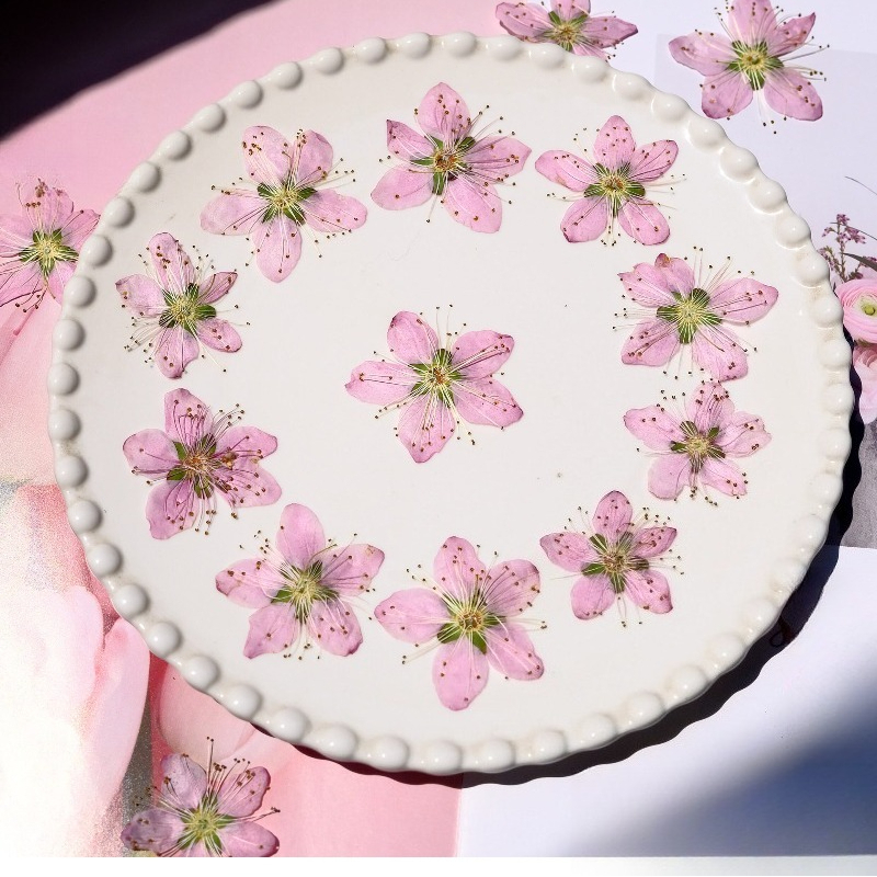 Photo Frame Baby - 3-4cm./6pcs,Pink Peach Blossom Pressed Dried Flowers