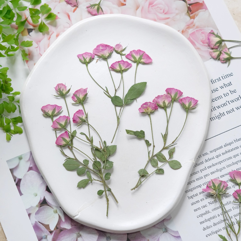 12pcs,Mini Pink Rose Pressed F - Photo Frame Baby ulasan dan harga