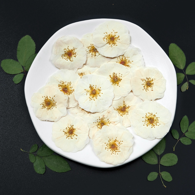 6pcs,9pcs,Nature White Rose Pr - Photo Frame Baby ulasan dan harga