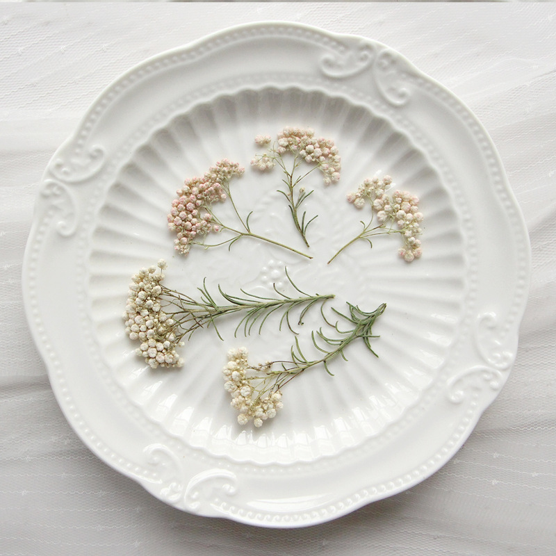 12pcs,Nature Millet flower bra - Photo Frame Baby ulasan dan harga