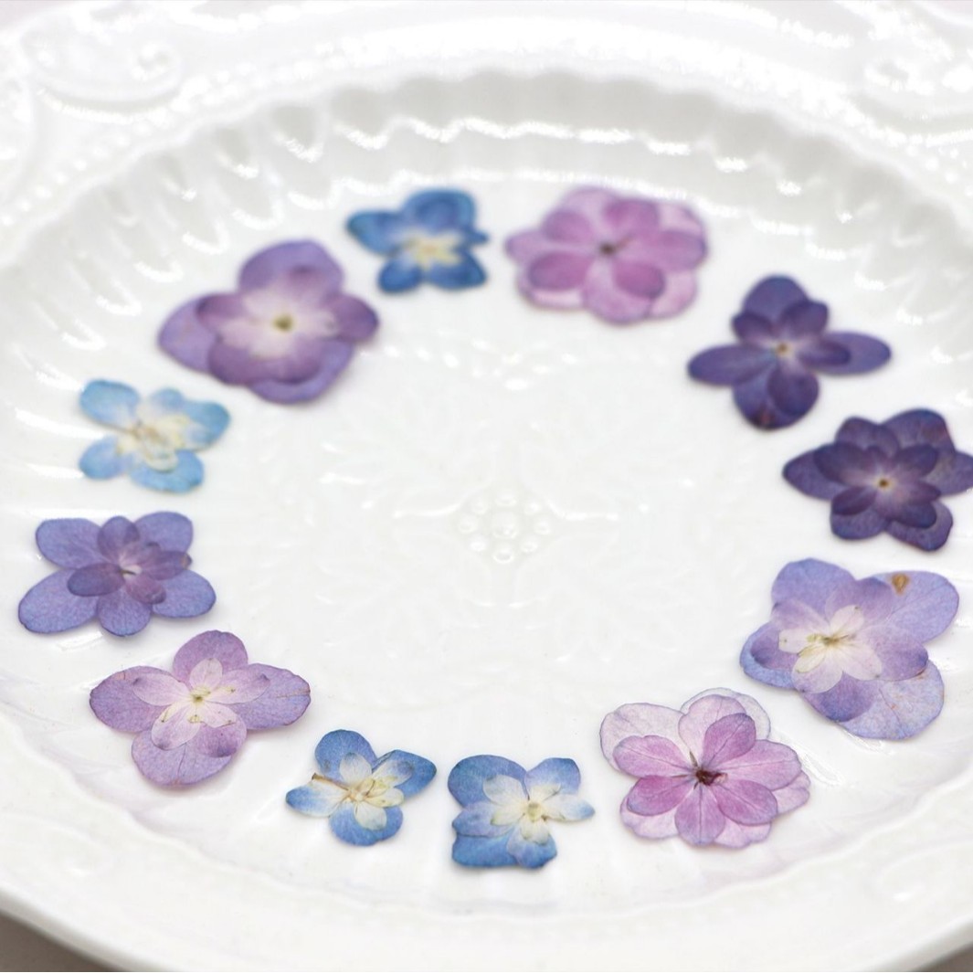 60Pcs Mini Double-Flowered Hyd - Photo Frame Baby ulasan dan harga